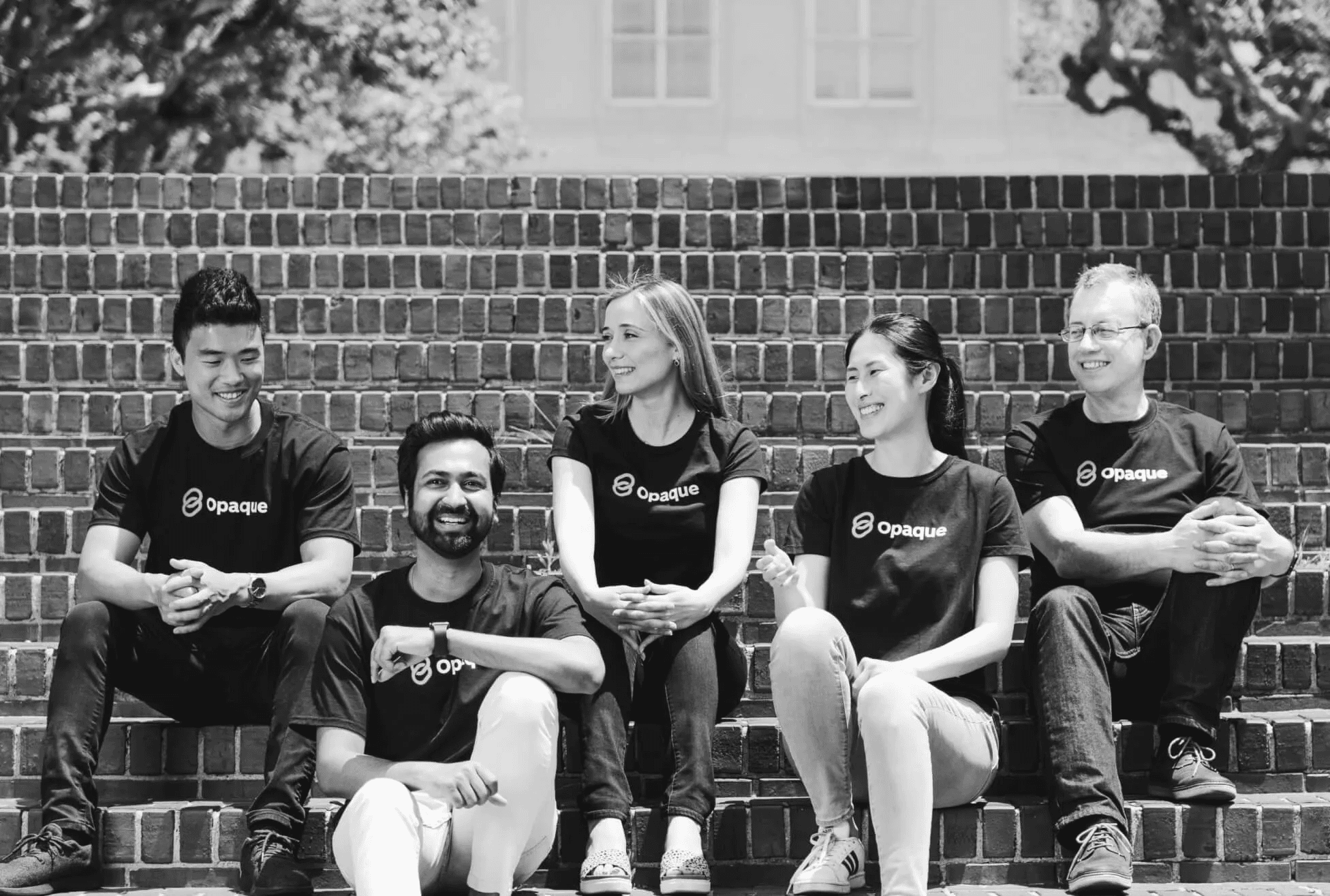 Opaque raises $24M at $300M valuation for ‘confidential AI’ platform