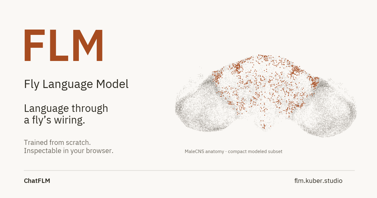 Show HN: Fly Language Model