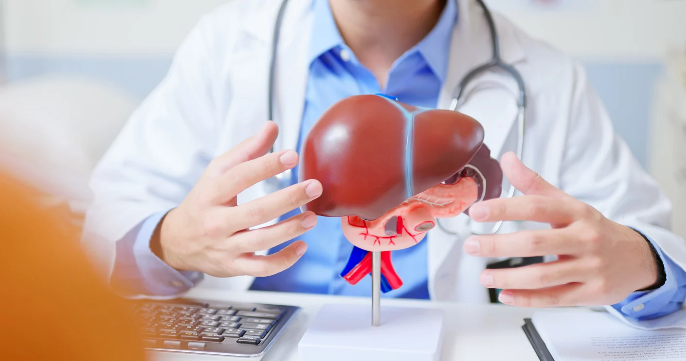 Millions Living With Fatty Liver Disease Without Knowing It, UK Study Suggests