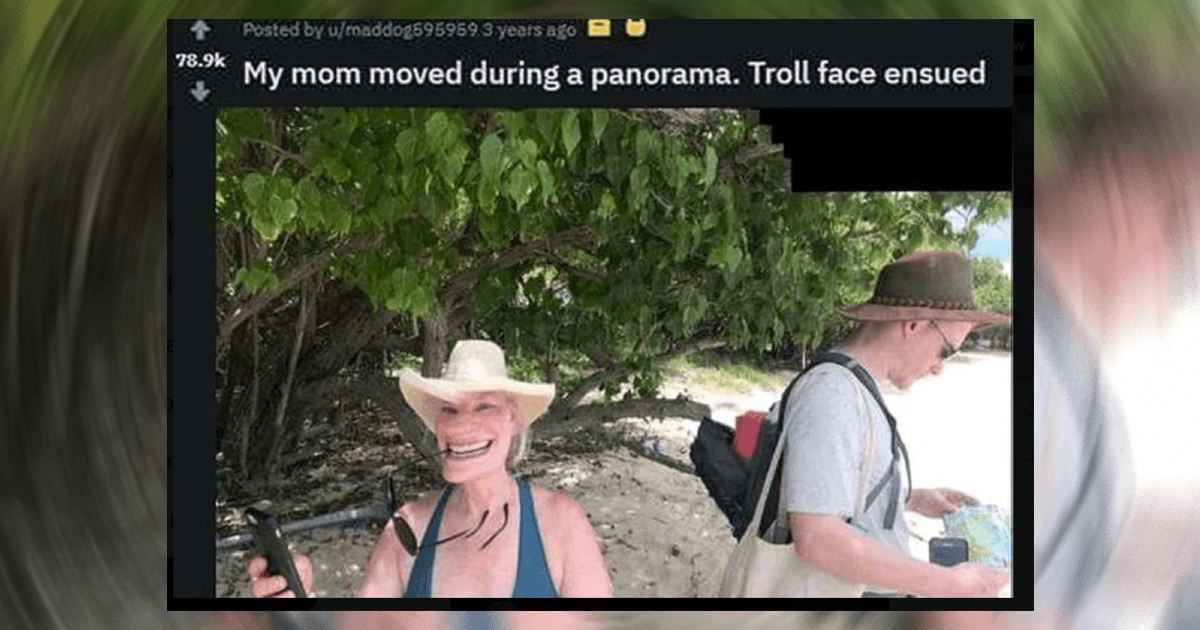 The Funniest Reddit Posts of the Week