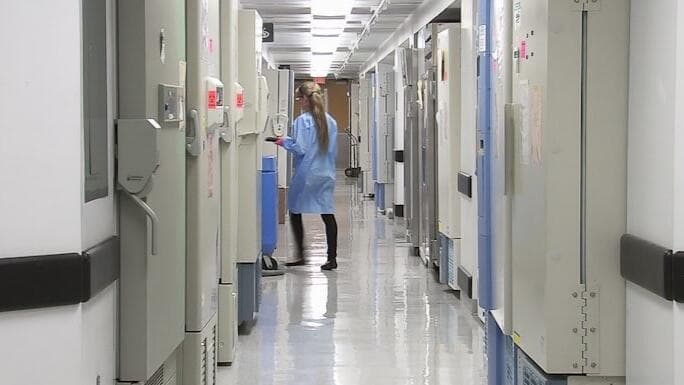 Hospitals and Health Systems Are Dropping Medicare Advantage Plans — Here’s What Seniors Need to Kno - NewsBreak