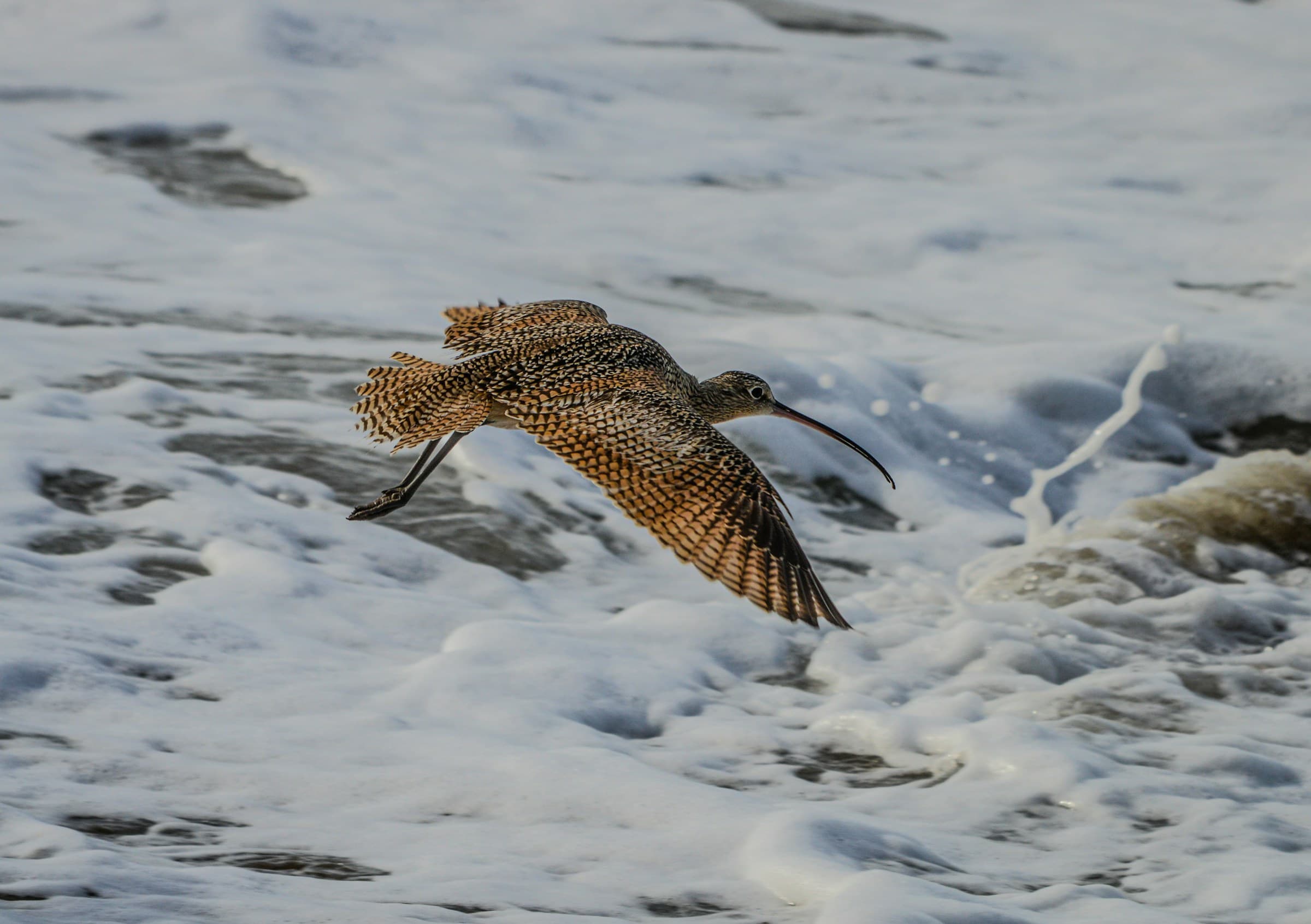 Using Anthropic's models via Vertex AI in opencode