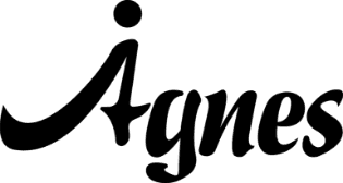 Singapore's Agnes AI Reaches 3M Users and Launches Proprietary SOTA Models