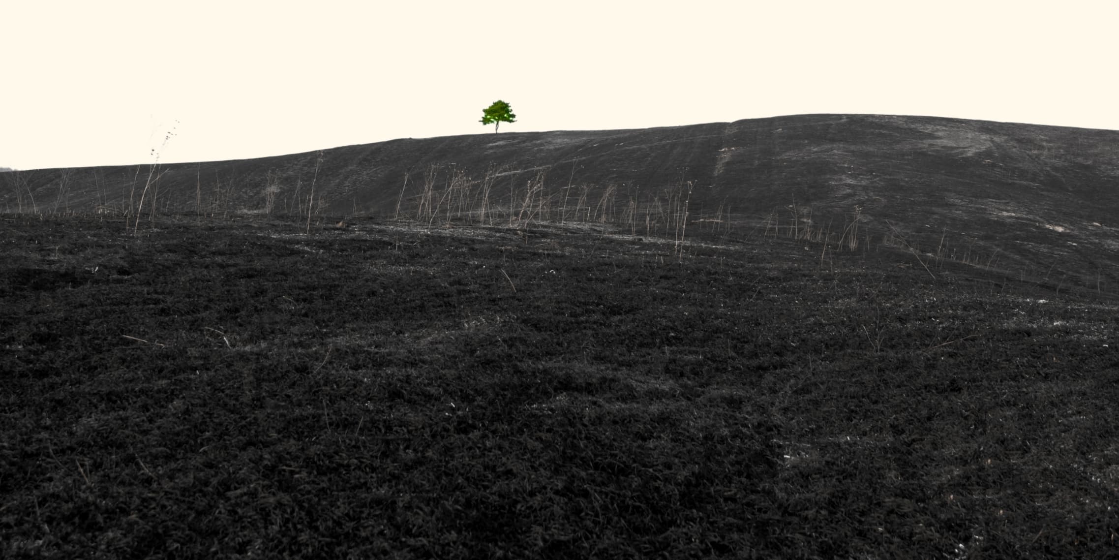 Lessons in Living in the Anthropocene (From the World’s Most Pessimistic Climate Writer)