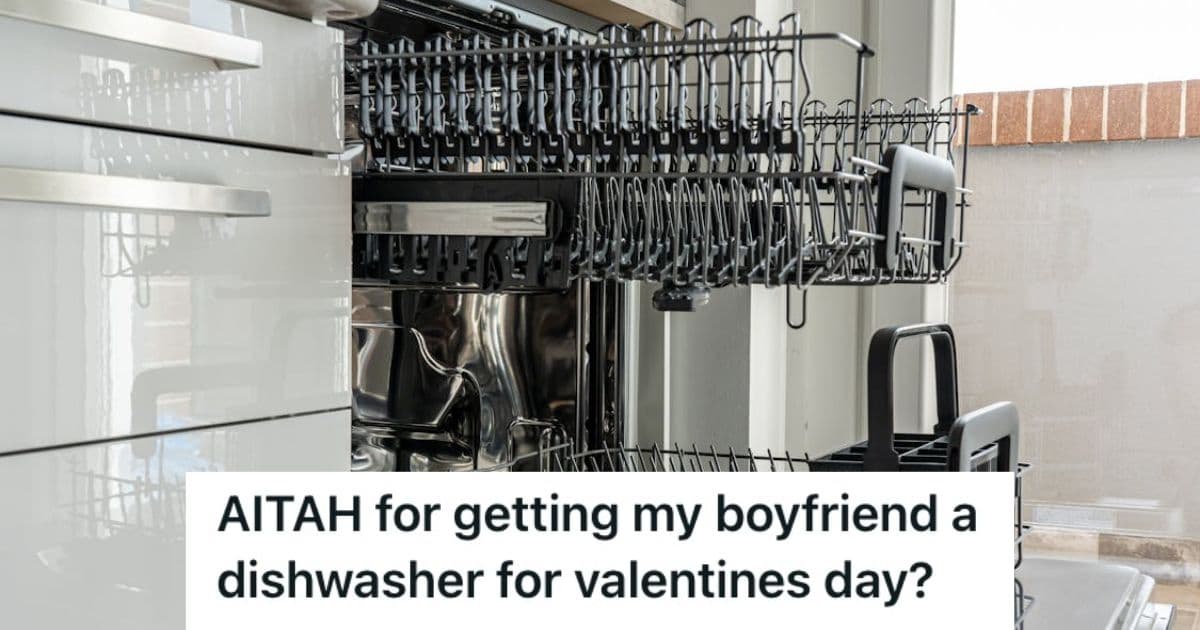 Woman And Her Boyfriend Argued About A Dungeon Crawler Carl Birthday Gift, So She Decided To Prove Her Point By Giving Him A Dishwasher For Valentine’s Day