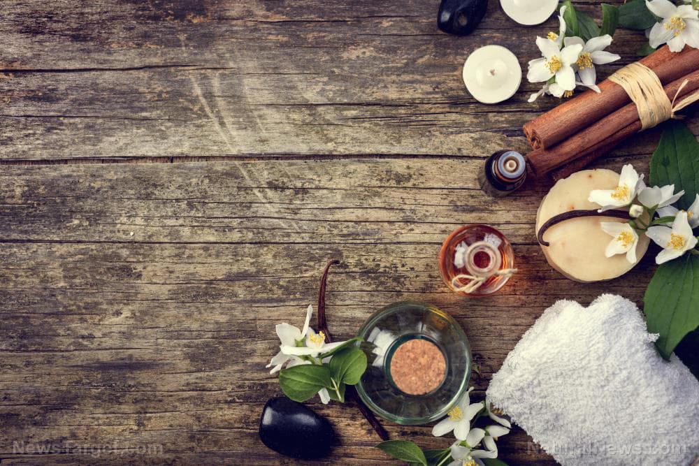 The shift toward plant-based home care nobody’s talking about