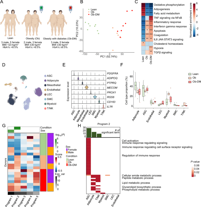 Single-cell landscape of human adipose tissue reveals THBS1 as a potential driver of fibro-inflammation in metabolic disease