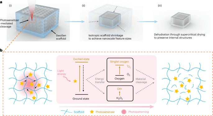 Isotropic shrinkage of patterned vacancies enables three-dimensional nanoprecise metastructures for visible light applications