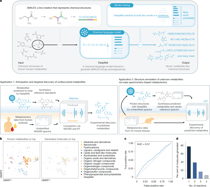 Language model-guided anticipation and discovery of mammalian metabolites