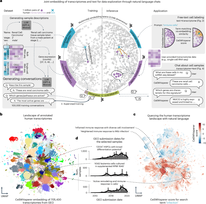 Multimodal learning enables chat-based exploration of single-cell data