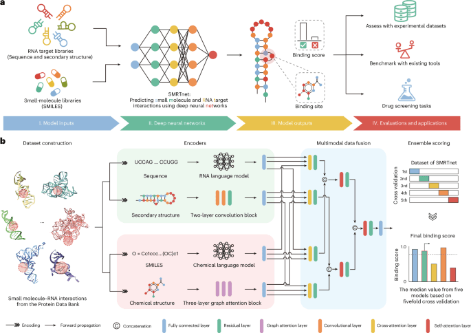 Predicting small molecule–RNA interactions without RNA tertiary structures
