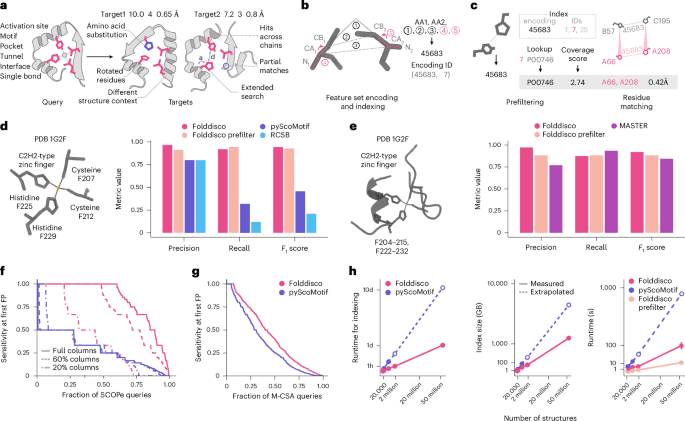 Structural motif search across the protein universe with Folddisco