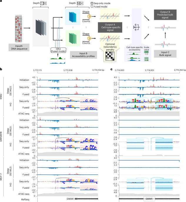High-resolution reconstruction of cell-type-specific transcriptional regulatory processes from bulk sequencing samples