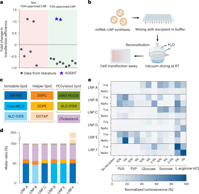 Accelerated discovery of thermostable mRNA–lipid nanoparticle vaccines using data-efficient AI