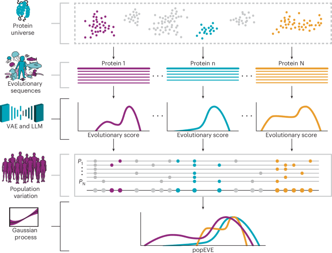 Proteome-wide model for human disease genetics