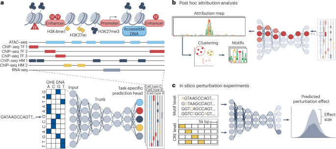 Toward generalizable and interpretable AI in regulatory genomics