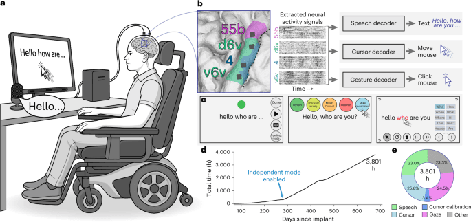 Long-term independent use of an intracortical brain–computer interface for speech and cursor control