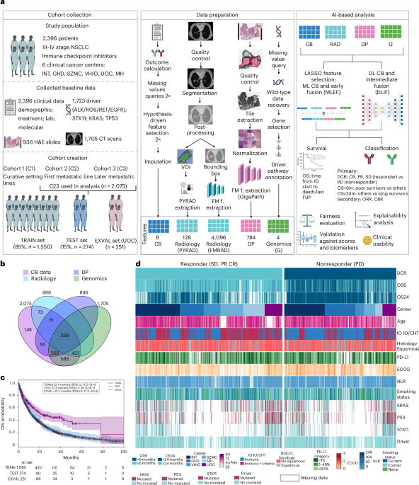Clinical usability of an explainable AI decision support tool and evaluation of multimodal models in NSCLC