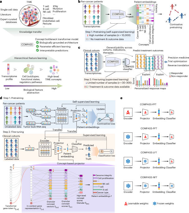 Generalizable AI predicts immunotherapy outcomes across cancers and treatments