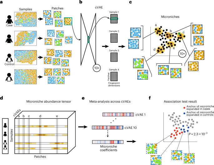 Accurate and well-powered case–control analysis of spatial molecular data