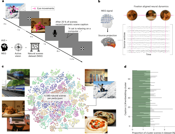 Fixation duration on natural scenes is explained by memory encoding not processing demand