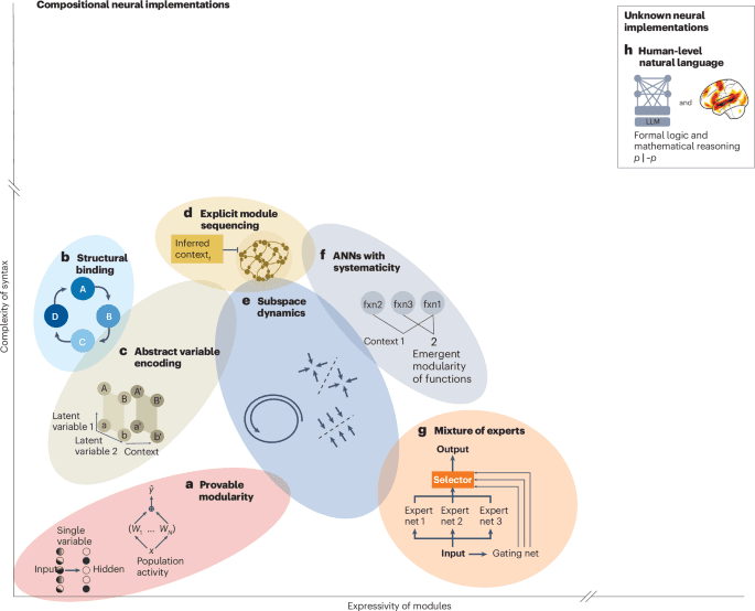 The compositionality continuum as a principle for studying the neural basis of intelligence