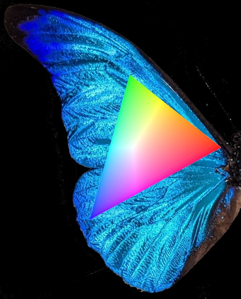 Where to Find the Colors Your Screen Can’t Show You – Ryan Moulton's Articles