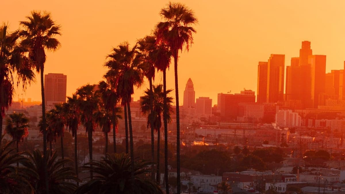 Trees Can Halve The Heat Trapped in Cities, But There's a Catch