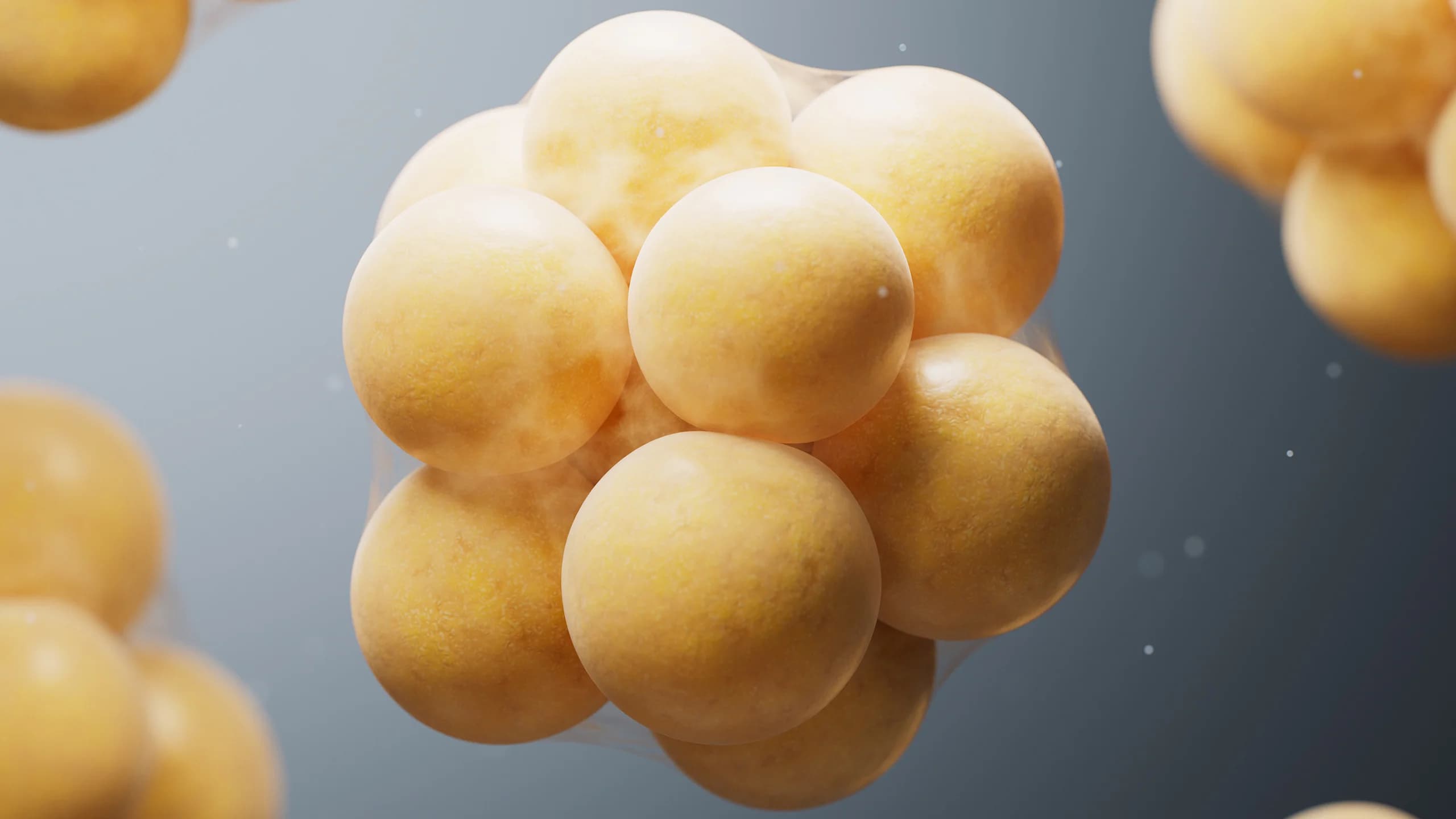 A New Injection Makes Fat Cells Self-Destruct, And Might Prevent GLP-1 Weight Regain